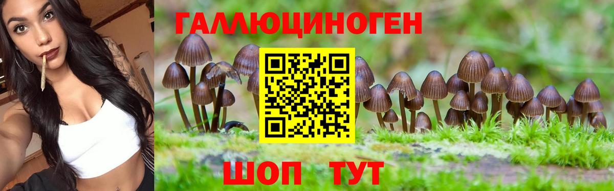 Галлюциногенные грибы ЛСД  как найти наркотики  Крымск  Вход с VPN  Псилоцибиновые грибы прущие грибы 
